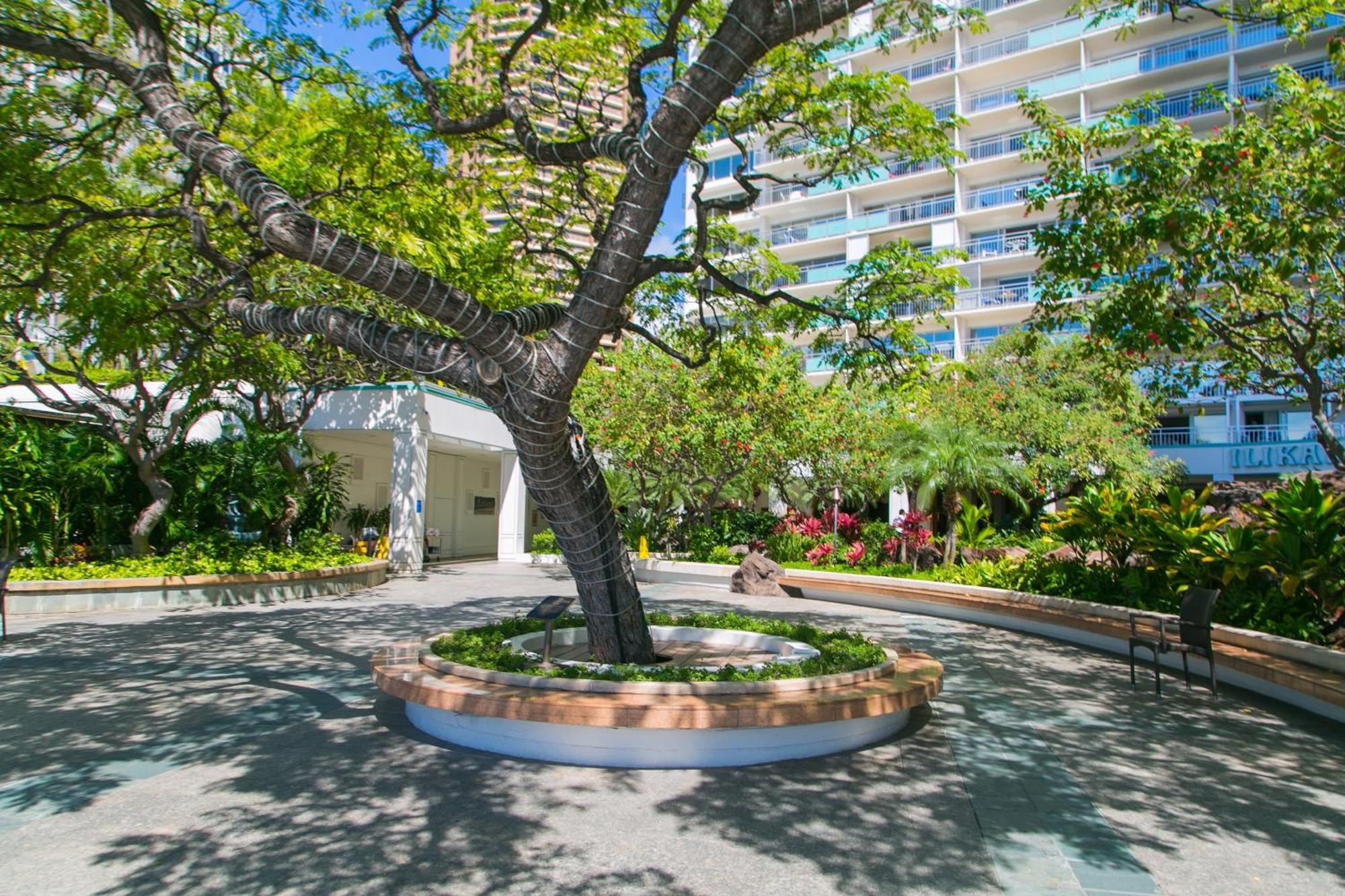 Appartamento Ilikai Tower 931 Yacht Harbor View 1Br Honolulu Esterno foto
